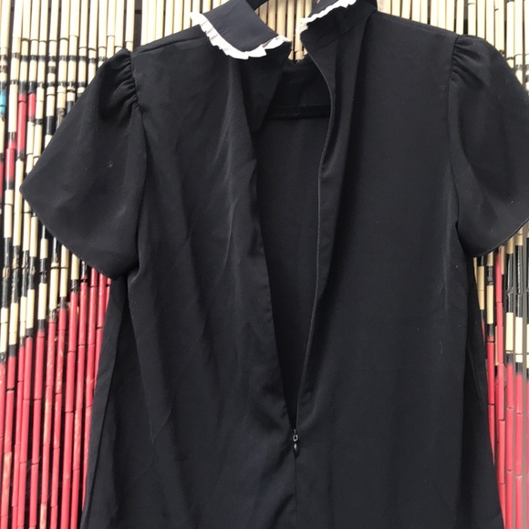 Peter Pan Collared Mini Dress With White Trim - Picture 7 of 7